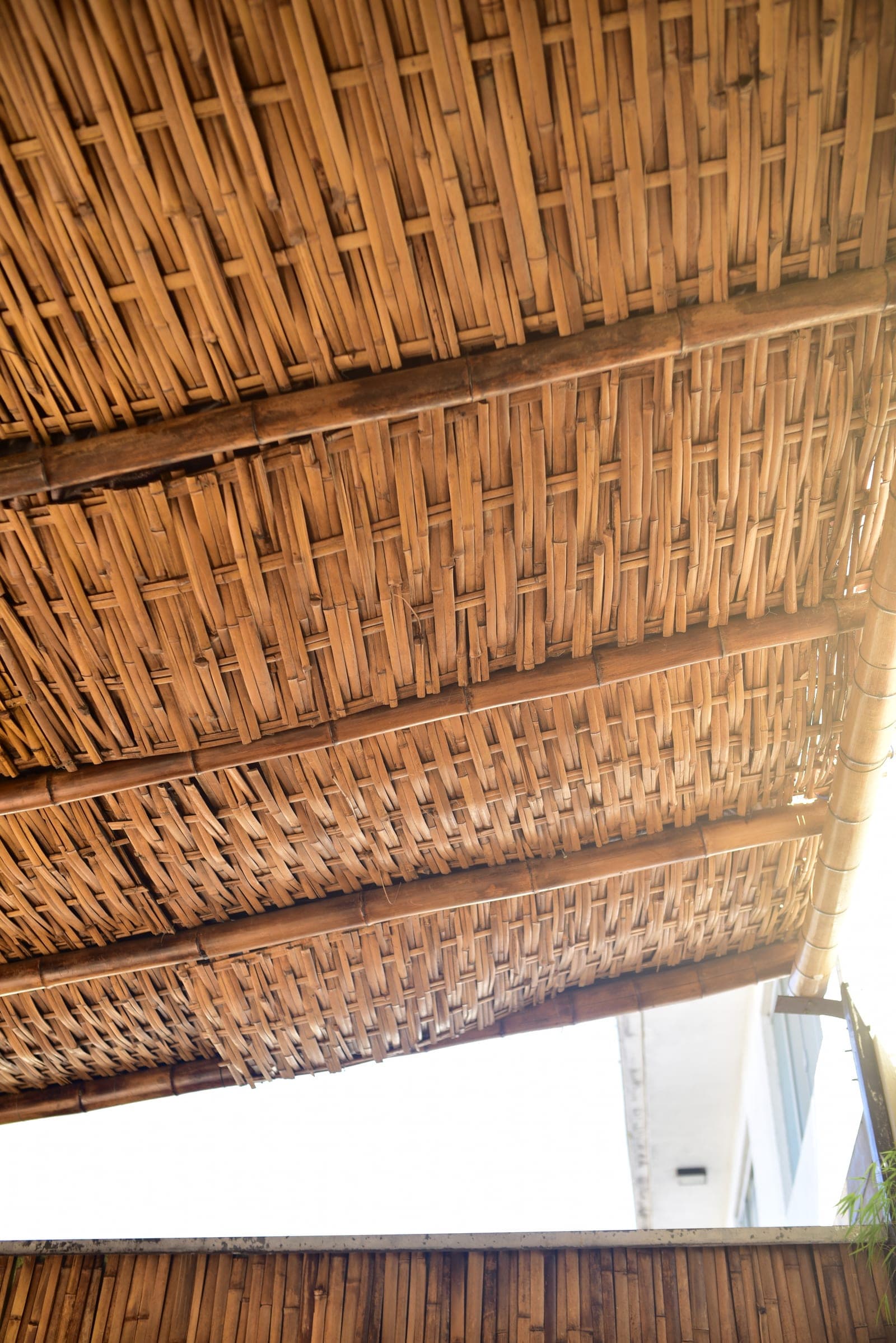 Forro de bambu — vista 2