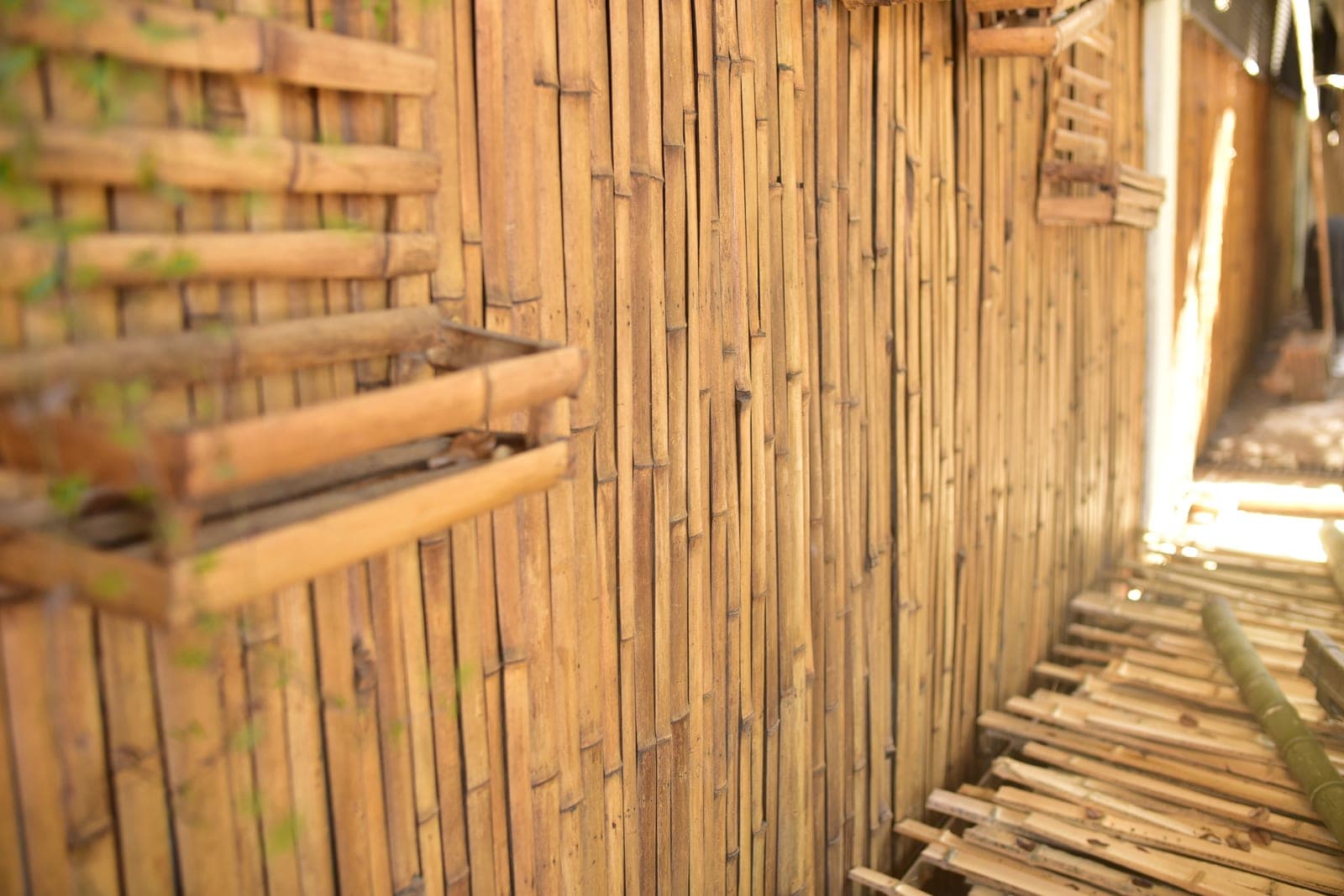 Painel de bambu — vista 1